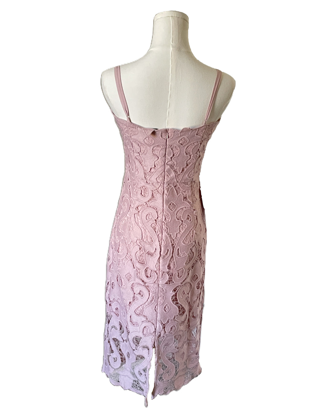 Bardot Lina Lace Sheath Dress